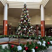 2023 Holiday Season at the Resort